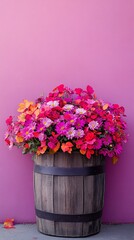 Fototapeta premium A colorful array of blooming flowers spills over the sides of a wooden barrel, set against a bright pink wall that enhances the cheerful vibe