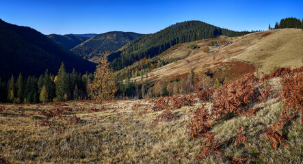 autumn in the mountain
