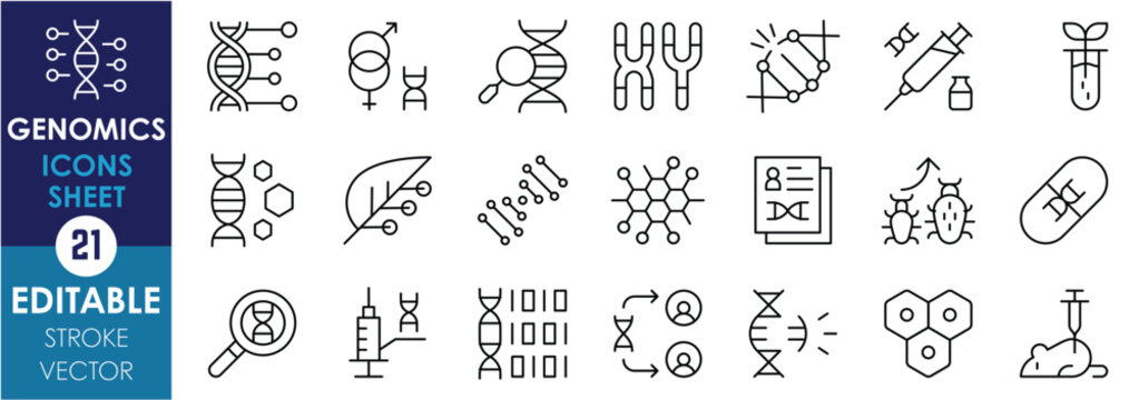 A set of line icons related to Genomics. DNA, engineering, genetic, gene analysis, report, lab, technology, Chromosome, mutation, and so on. Vector editable stroke.
