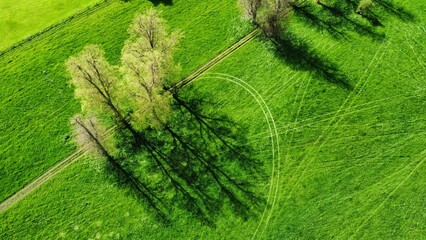 Farming and Agriculture Summer