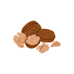 Cartoon walnut. Nuts in shell and peeled pieces. Healthy food. Diet snack. Organic vegetarian element. Whole and half. Natural plant ingredient packaging design vector isolated illustration