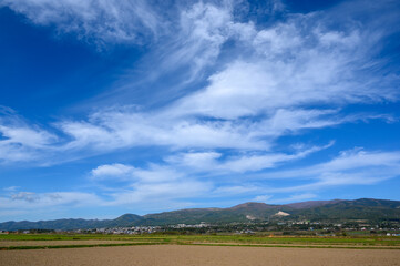 春の青空と広大な田園風景