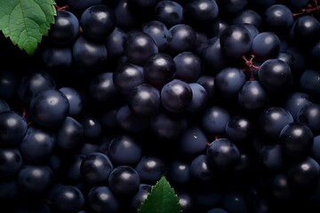 Fototapeta premium Fresh Black grapess as background. Fresh Black grapess