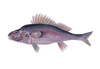 poisson peint à l'aquarelle 