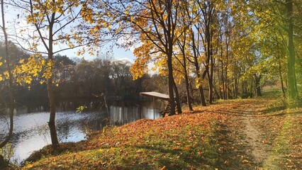 Bright autumn leaves frame a peaceful lake, where a wooden platform extends over the water. A...