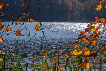 Lake in autumn in the mountains