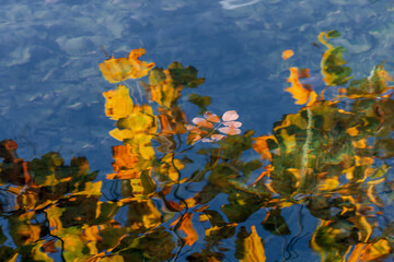 Autumn leaves reflection on a lake surface