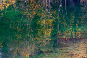 Autumn forest reflection in the water
