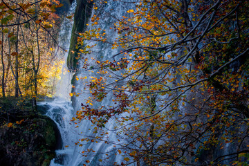 Waterfall in autumn