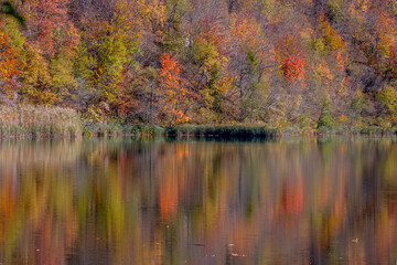 Autumn colors in the forest reflected on a lake