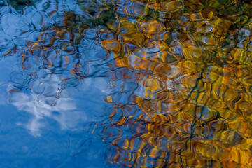 Autumn leaves with blue sky reflected on lake surface