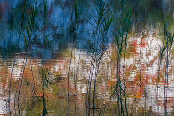 Reflection of a landscape on clear water
