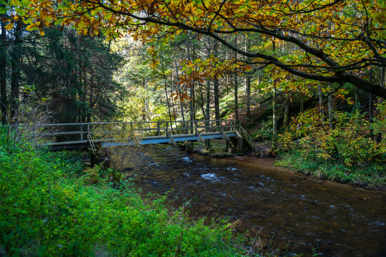 Br&uuml;cke &uuml;ber den Perlenbach nahe der H&ouml;fener M&uuml;hle und der Perlenbachtalsperre auf der Narzissenroute in der Eifel im Herbst