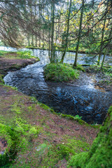 Wanderweg zu den Bieley-Felsen - Das 
