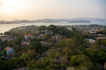 Fototapeta premium Beautiful tropical gardens on Gulangyu island, Xiamen, China, Floral background