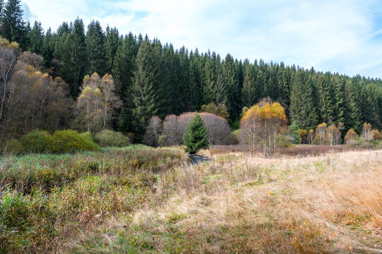 Wanderweg zu den Bieley-Felsen - Das "Matterhorn der Eifel" im Herbst auf der Narzissenroute bei H&ouml;fen, im Perlenbachtal 