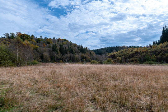Wanderweg zu den Bieley-Felsen - Das "Matterhorn der Eifel" im Herbst auf der Narzissenroute bei H&ouml;fen, im Perlenbachtal 