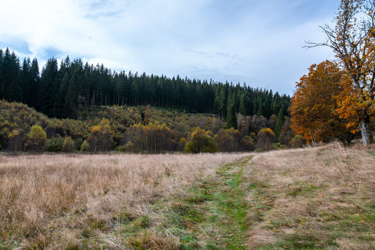 Wanderweg zu den Bieley-Felsen - Das "Matterhorn der Eifel" im Herbst auf der Narzissenroute bei H&ouml;fen, im Perlenbachtal 
