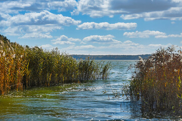 The shore of Lake Wadąg near Olsztyn, Poland