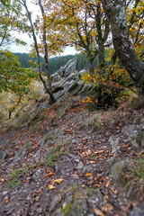 Bieley-Felsen - Das "Matterhorn der Eifel" an der Narzissenroute im Herbst bei Höfen, Eifel