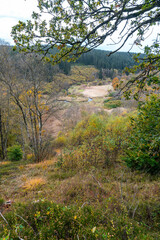 Wanderweg zu den Bieley-Felsen - Das "Matterhorn der Eifel" im Herbst auf der Narzissenroute bei Höfen, im Perlenbachtal 