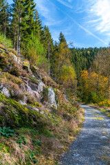 Wanderweg zu den Bieley-Felsen - Das "Matterhorn der Eifel" im Herbst auf der Narzissenroute bei Höfen, im Perlenbachtal 