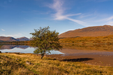 Obraz premium autumn, coast, driving, Highlands, kingairloch, lake, Loch, lochaline, mountains, NC500, North, north coast 500, ocean, pond, river, route, scaly, Scotland, sea, stretch, water