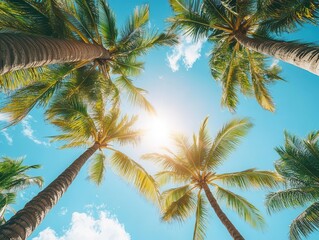 an upward view of a beach scene, capturing the sun shining through palm trees and a clear blue sky. the composition evokes a sense of relaxation and the joys of summer