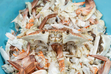 Steamed blue crab shell scraps discarded in a blue plastic container after eating.