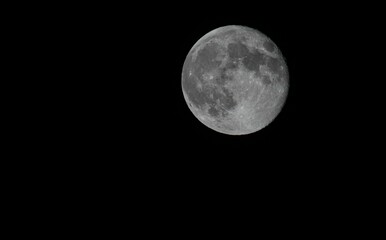 Fototapeta premium Full moon in a clear night sky.