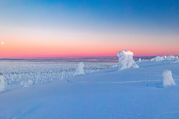 winter landscape with snow