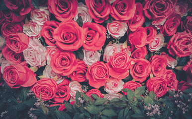A vintage-inspired image of pink and red roses arranged in a dense pattern.