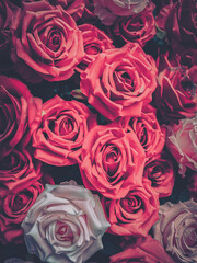 A close-up vintage-style image of a bouquet of red roses.