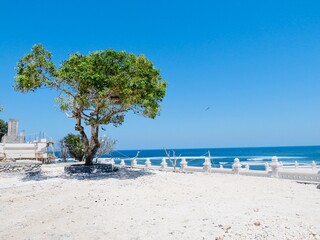Fototapeta premium beach