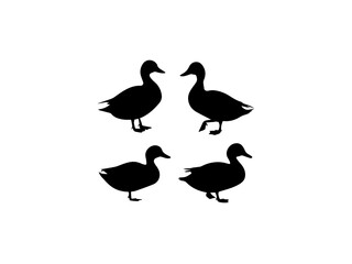 Silhouettes of wild and domestic duck Duck in flight on transparent background vector illustration.