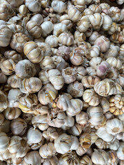 Garlic in a storage box ready to be cooked