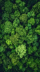 Naklejka premium Lush green forest canopy creating stunning natural pattern