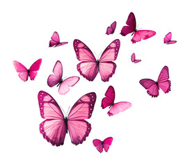Pink Butterflies flying isolated on transparent background. PNG file, cut out