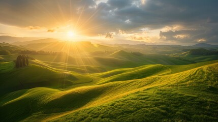 Obraz premium Golden Hour Over Rolling Hills