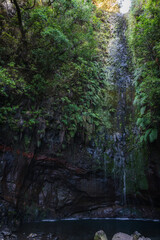 Obraz premium Trekking routes on the levadas on the island of Madeira.