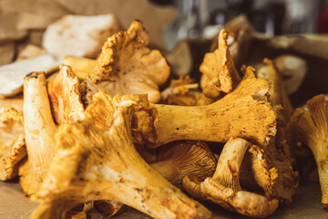 Fresh chanterelle mushrooms are laid out on a rustic wooden surface, highlighting their natural shape and vibrant color. Suitable for ingredient promotion, nature, or gourmet dishes.