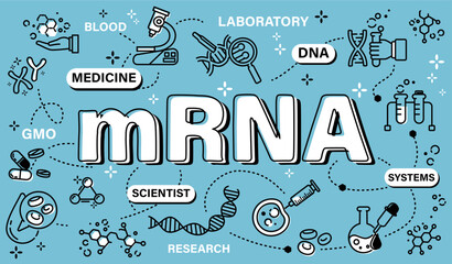 mRNA . Biotechnology and genetic engineering concept . Word with line icon art banner style . Editable stroke . Vector .