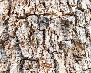 Photo brown, grey, black tree bark arranged in lines it beautiful same pattern nature. Use is house wall for background or website wallpaper. Can be used as model. Abstract texture background.