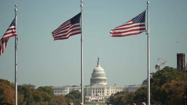 Three American flags wave in the wind, with the iconic Capitol Building in the background. The image captures the essence of American patriotism and national identity.