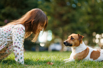 dog of the Jack Russell Terrier breed and little girl playng in the park on the green grass at...
