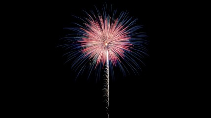 Fototapeta premium A dazzling fireworks display bursting in vibrant colors over a dark sky, with ample copy space at the bottom.
