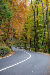 Curve on mountain road in autumn