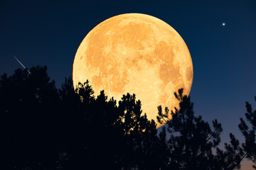 Full Moon, stars, planets and landscape scenery silhouettes.