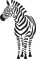 Zebra Vector Illustration Graphic