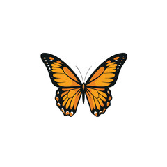 Fototapeta premium Elegant Butterfly Vector Logo Design Template